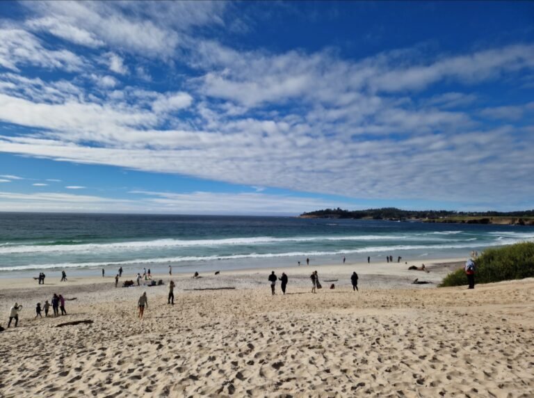 Learning English independently with real-life inspiration in California