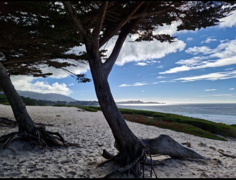 How to Watch Movies and Series to Actually Improve Your English