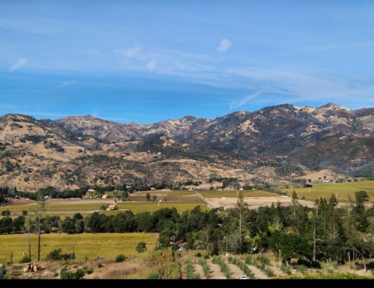 Wide landscape view symbolizing growth and confidence in speaking English