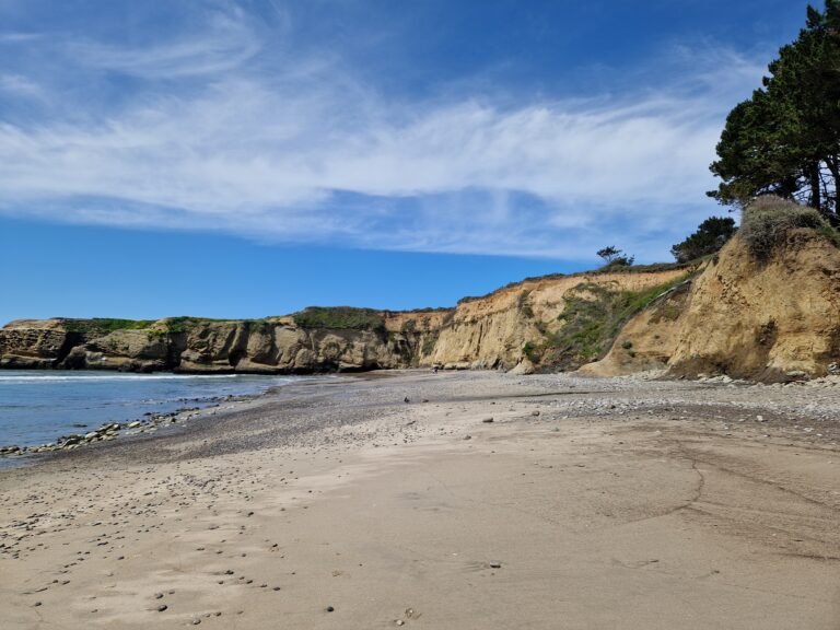 California ocean landscape symbolizing passive and active English learning methods